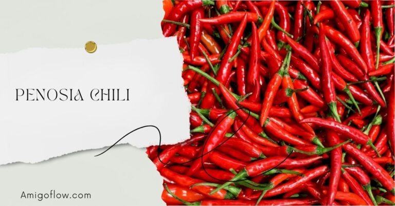 The Ultimate Guide to Penosia Chili: Flavor, Heat, and Versatility